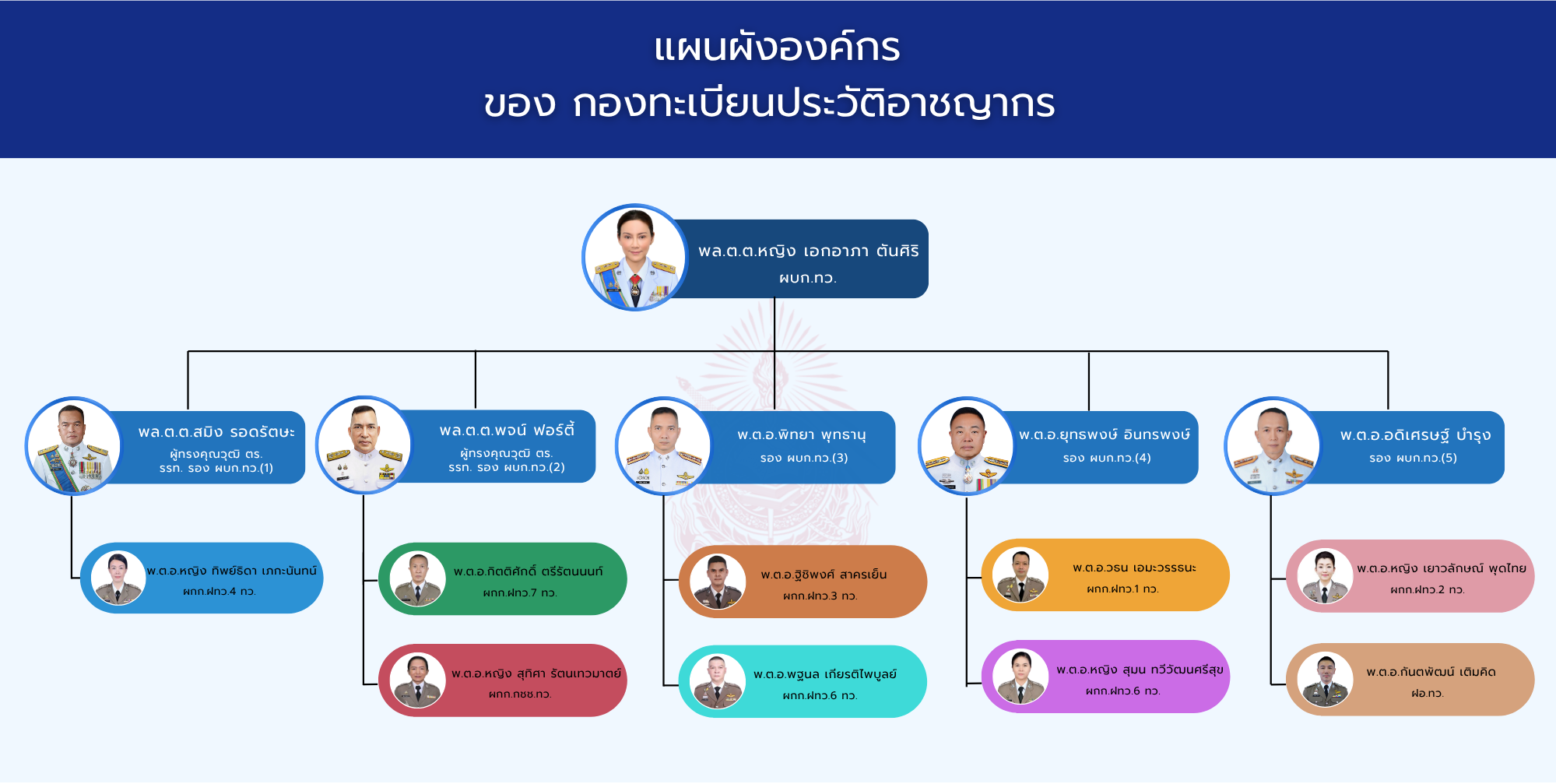 แผนผังผู้บริหาร